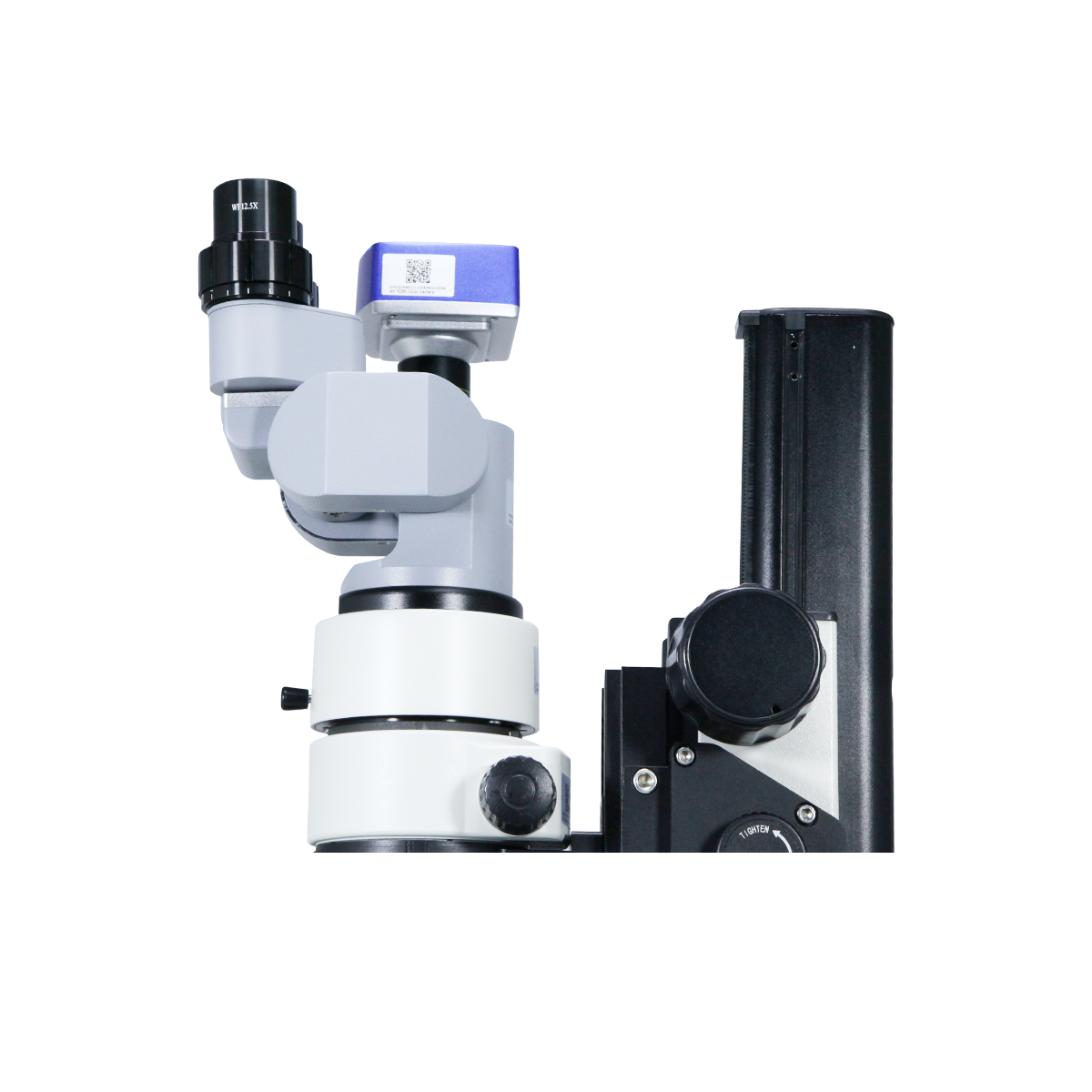 Stereo Microscope